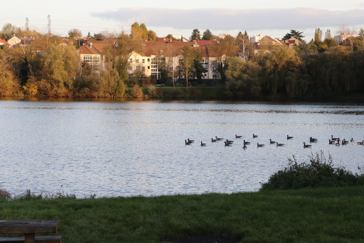 Diagnostic pollution des sols à Brétigny-sur-Orge — Cabinet Paillard