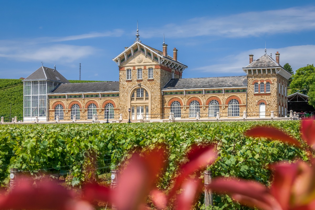 Diagnostic pollution des sols à Épernay — Cabinet Paillard