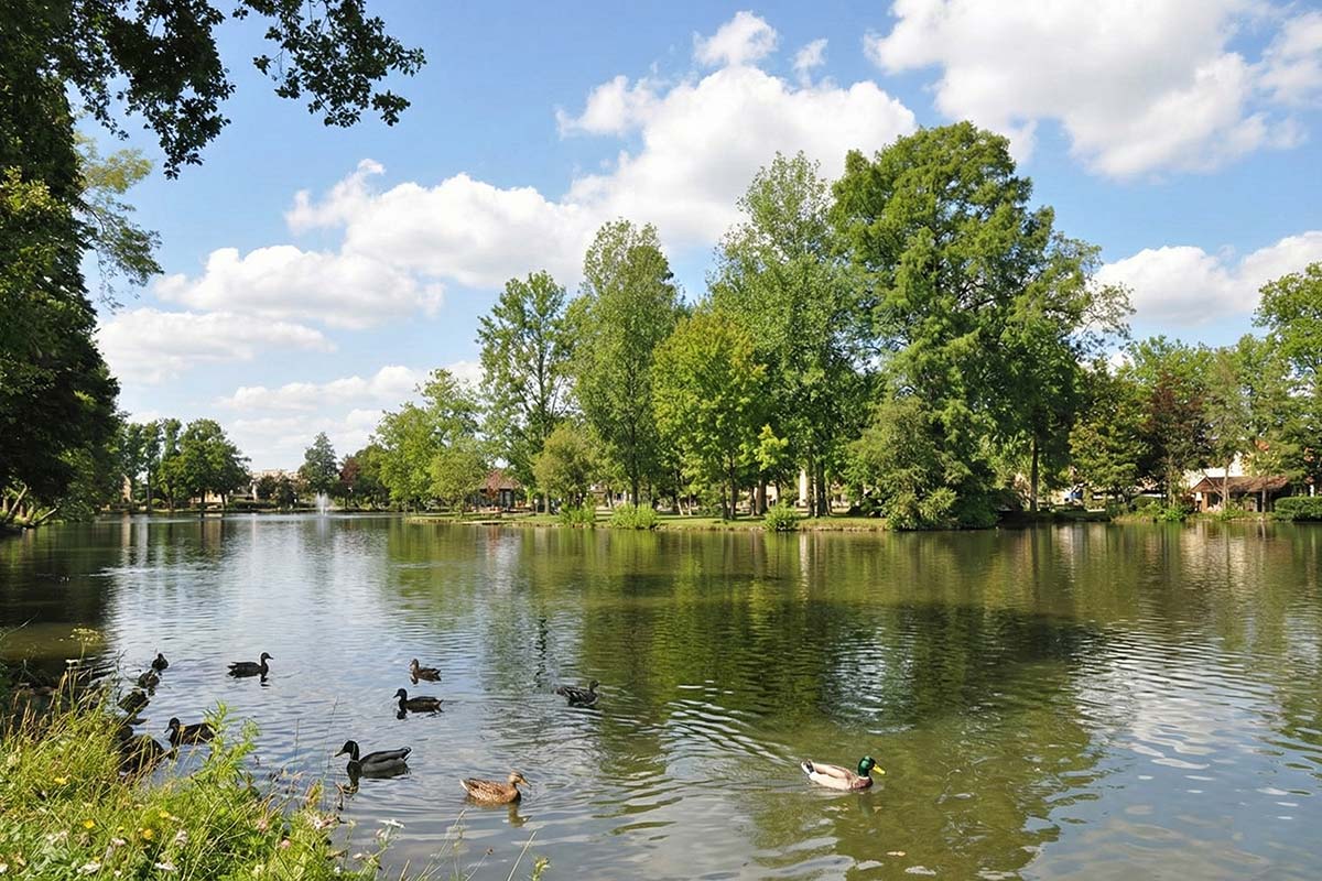 Diagnostic pollution des sols à Gagny — Cabinet Paillard