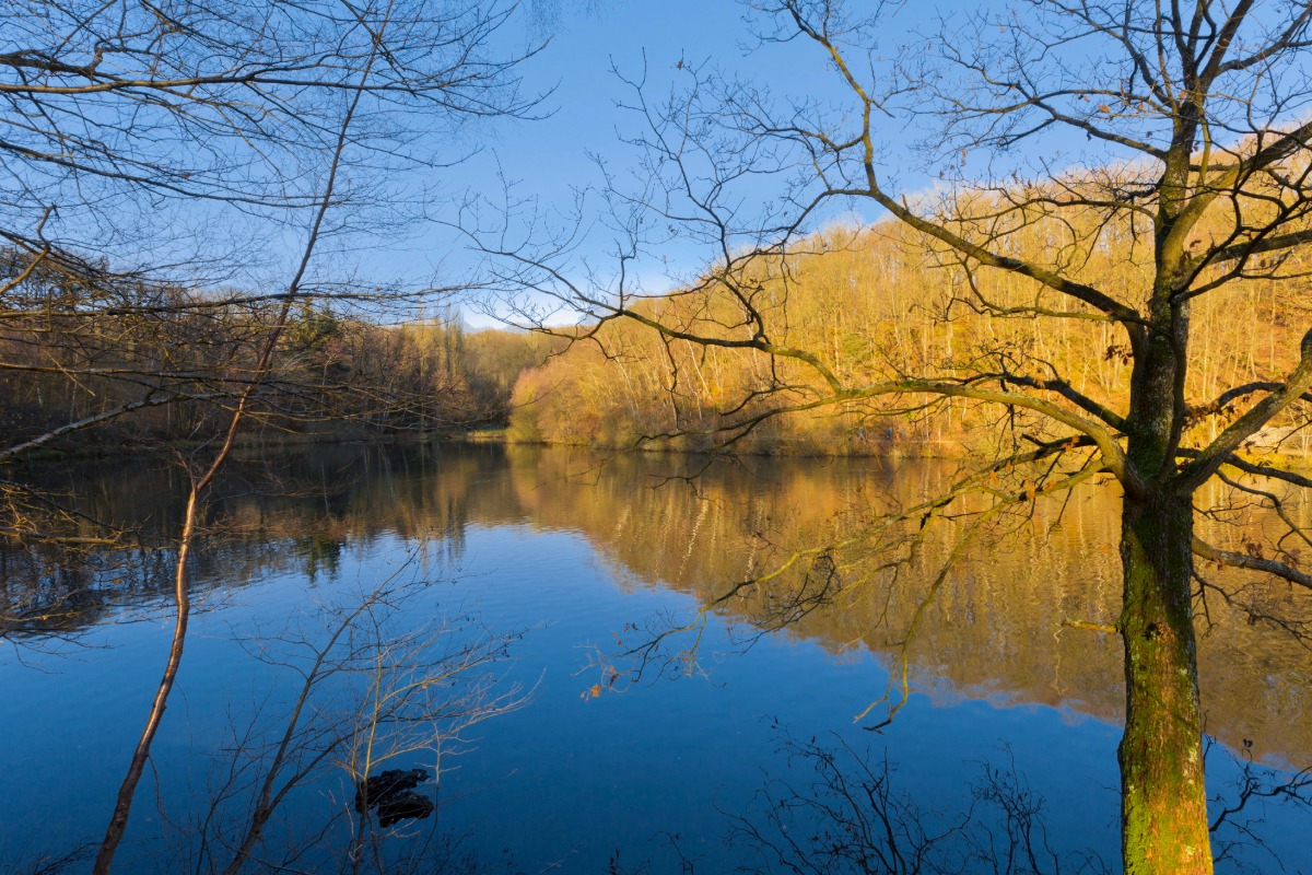 Diagnostic pollution des sols à Guyancourt — Cabinet Paillard