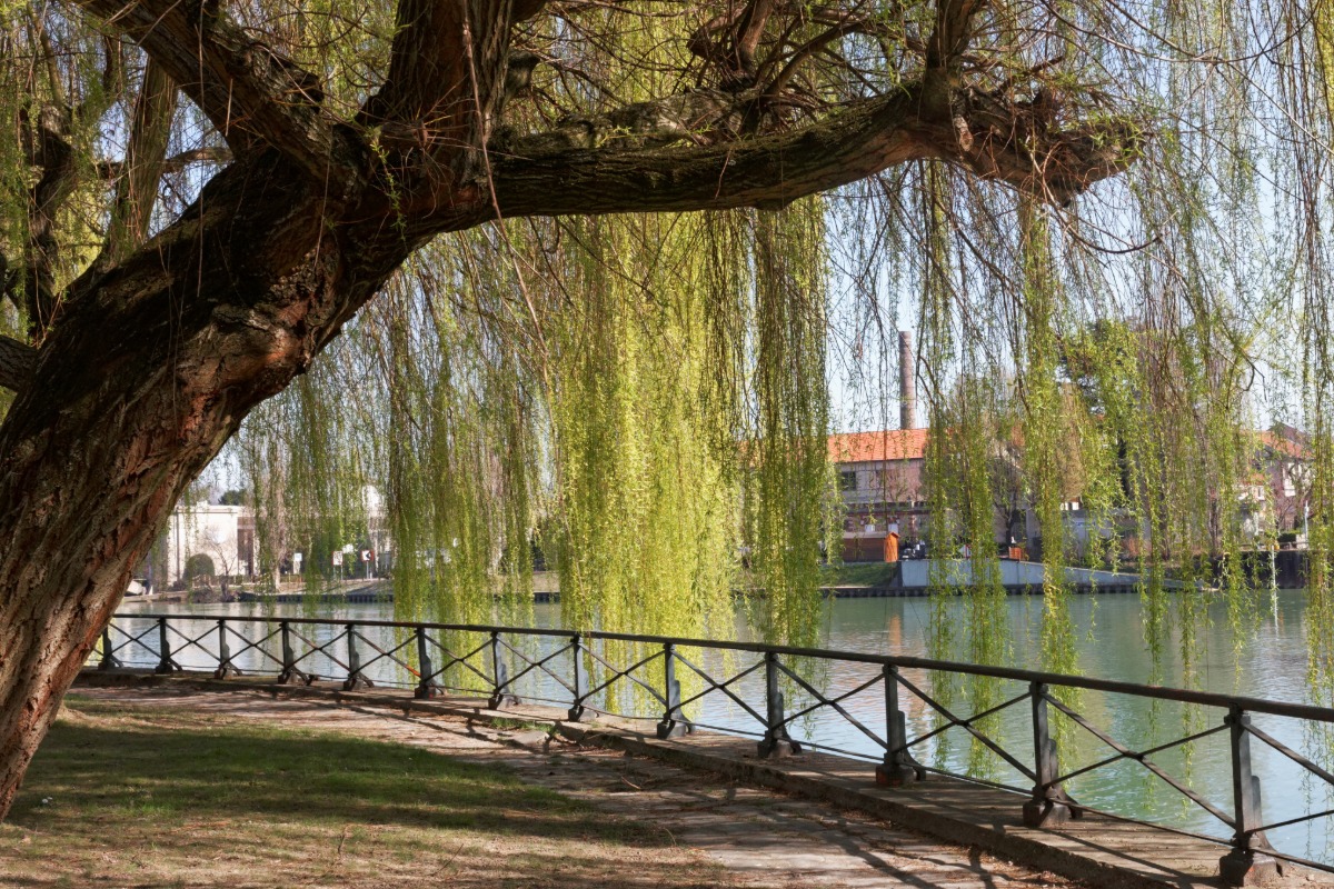 Diagnostic pollution des sols à Joinville-le-Pont — Cabinet Paillard