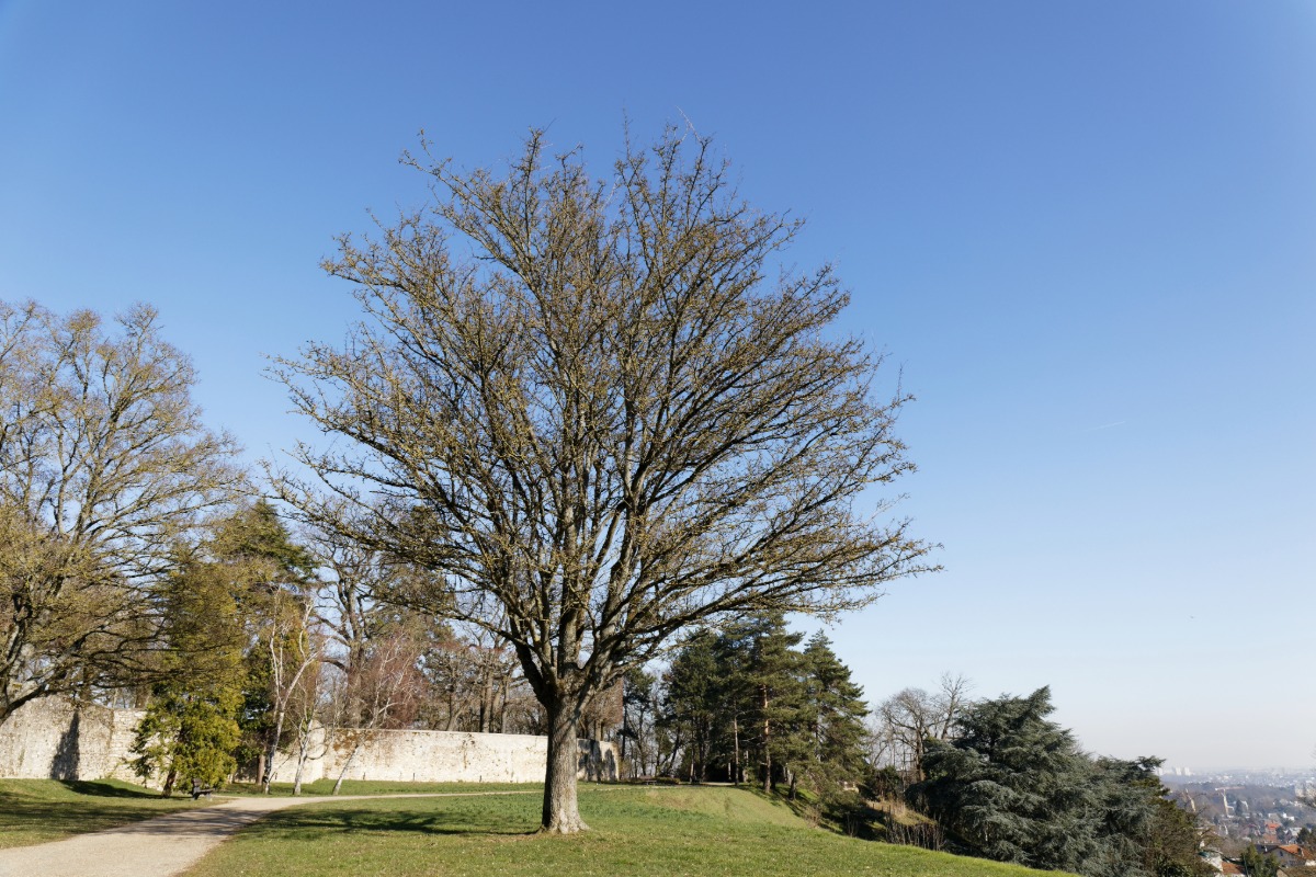 Diagnostic pollution des sols à Le Plessis-Robinson — Cabinet Paillard