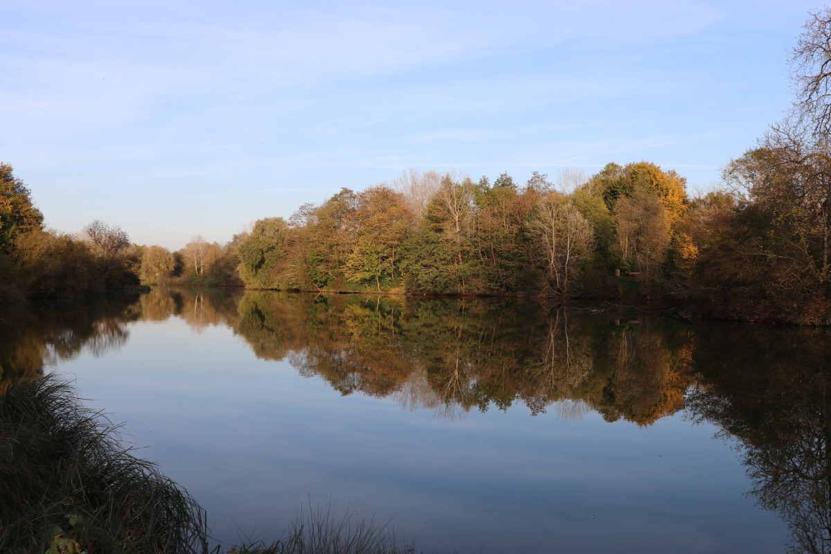 Diagnostic pollution des sols à Saint-Michel-sur-Orge — Cabinet Paillard