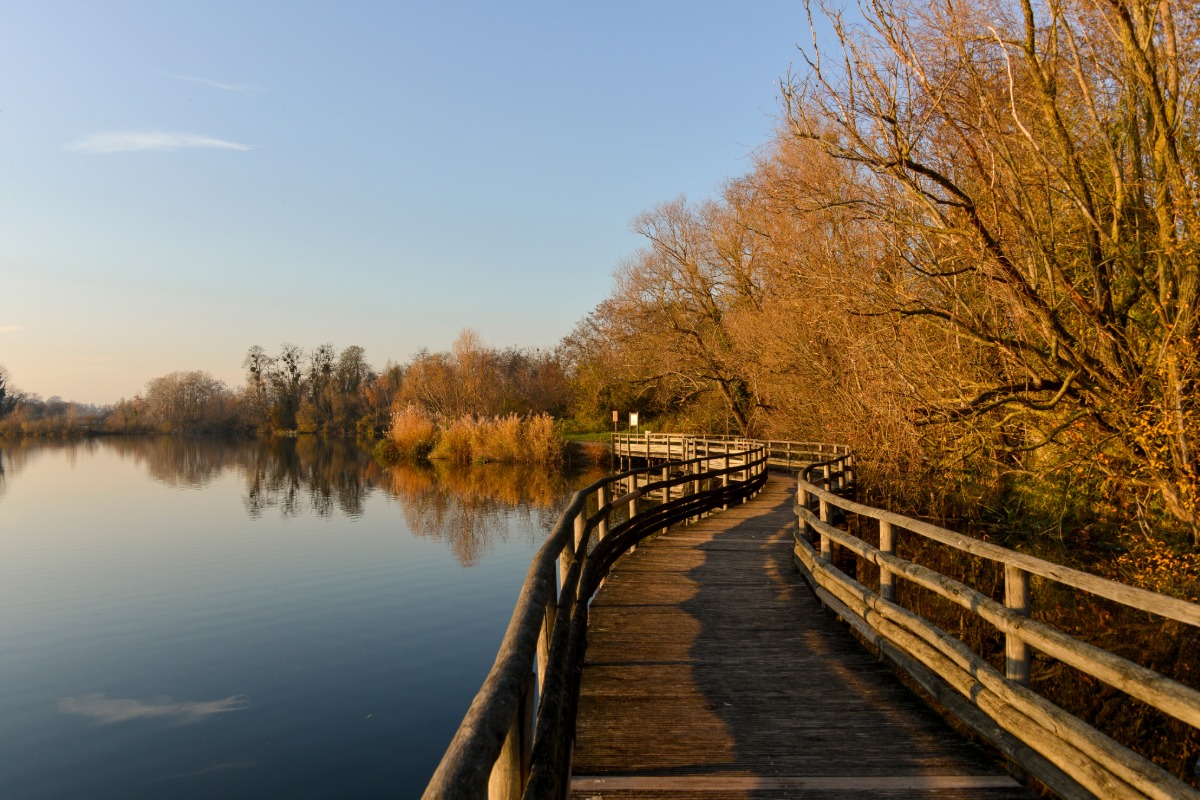 Diagnostic pollution des sols à Viry-Châtillon — Cabinet Paillard