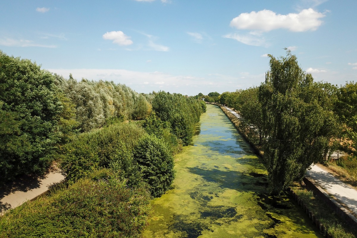 Diagnostic pollution des sols à Wasquehal — Cabinet Paillard
